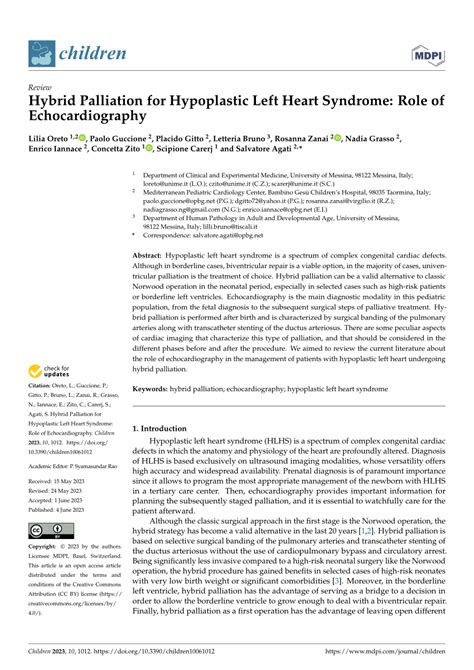 (PDF) A hybrid echocardiography.